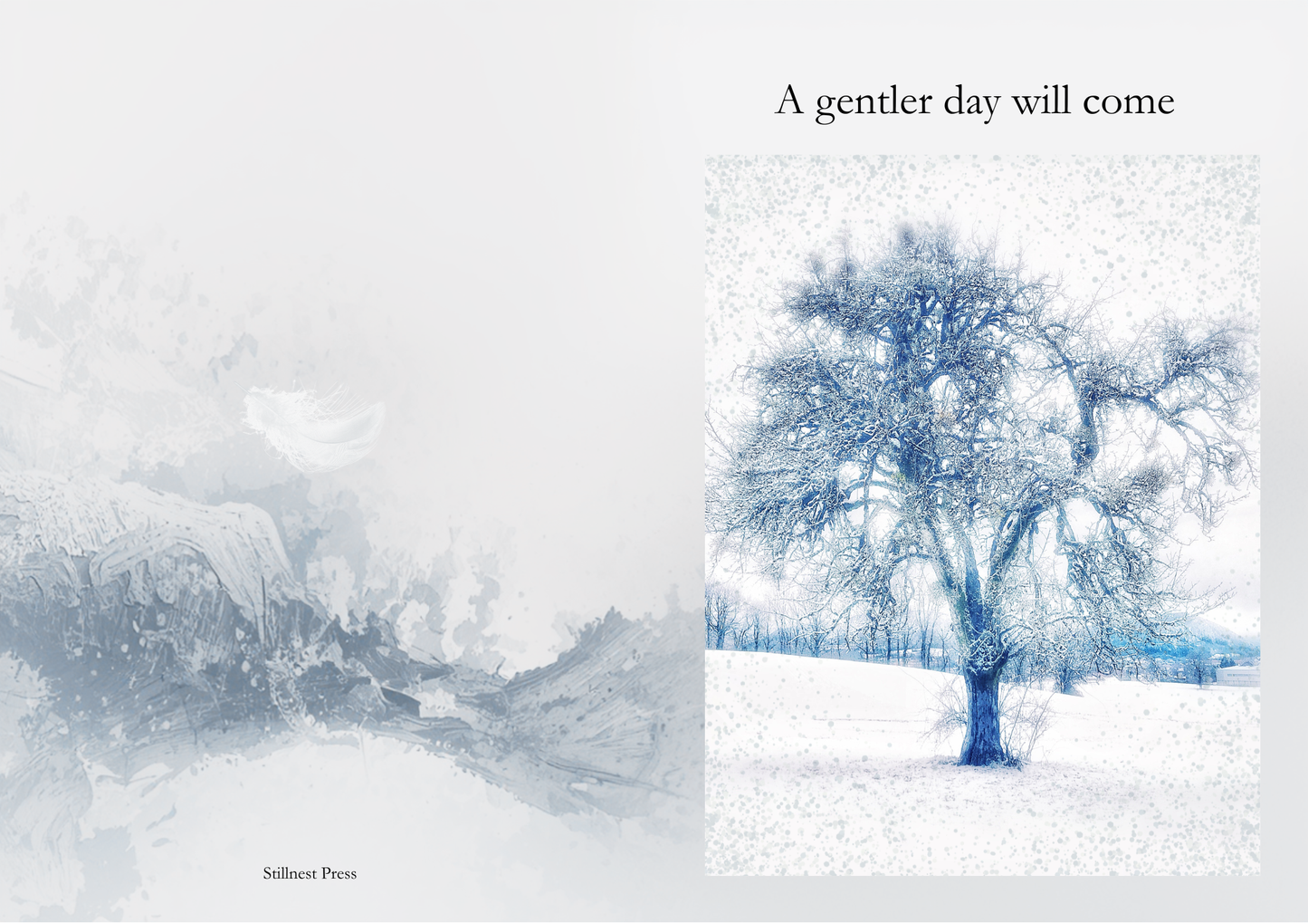 Quiet Cards for Unsteady Times -  Set of Five