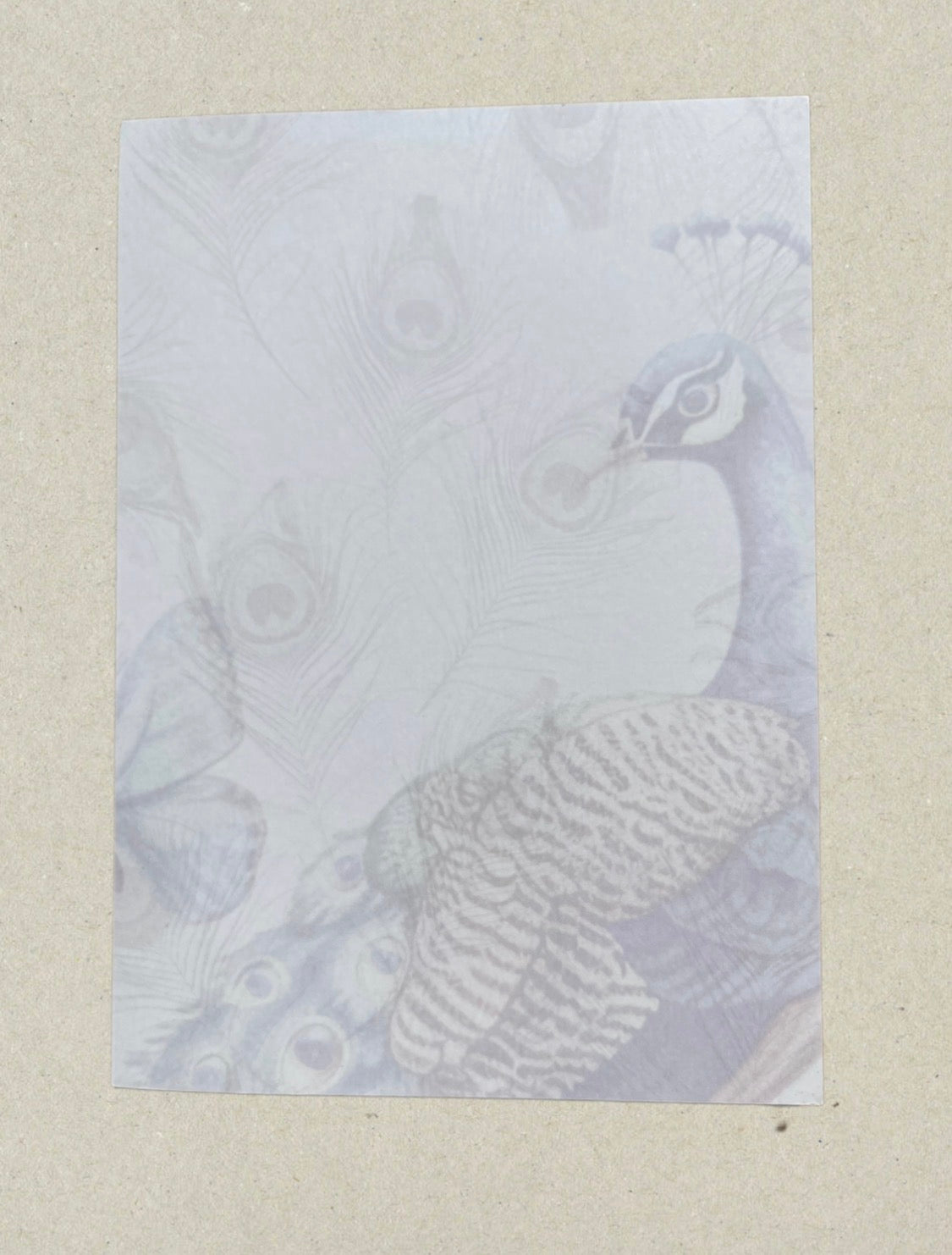 Nature’s Messengers Writing Pad Peacock A6