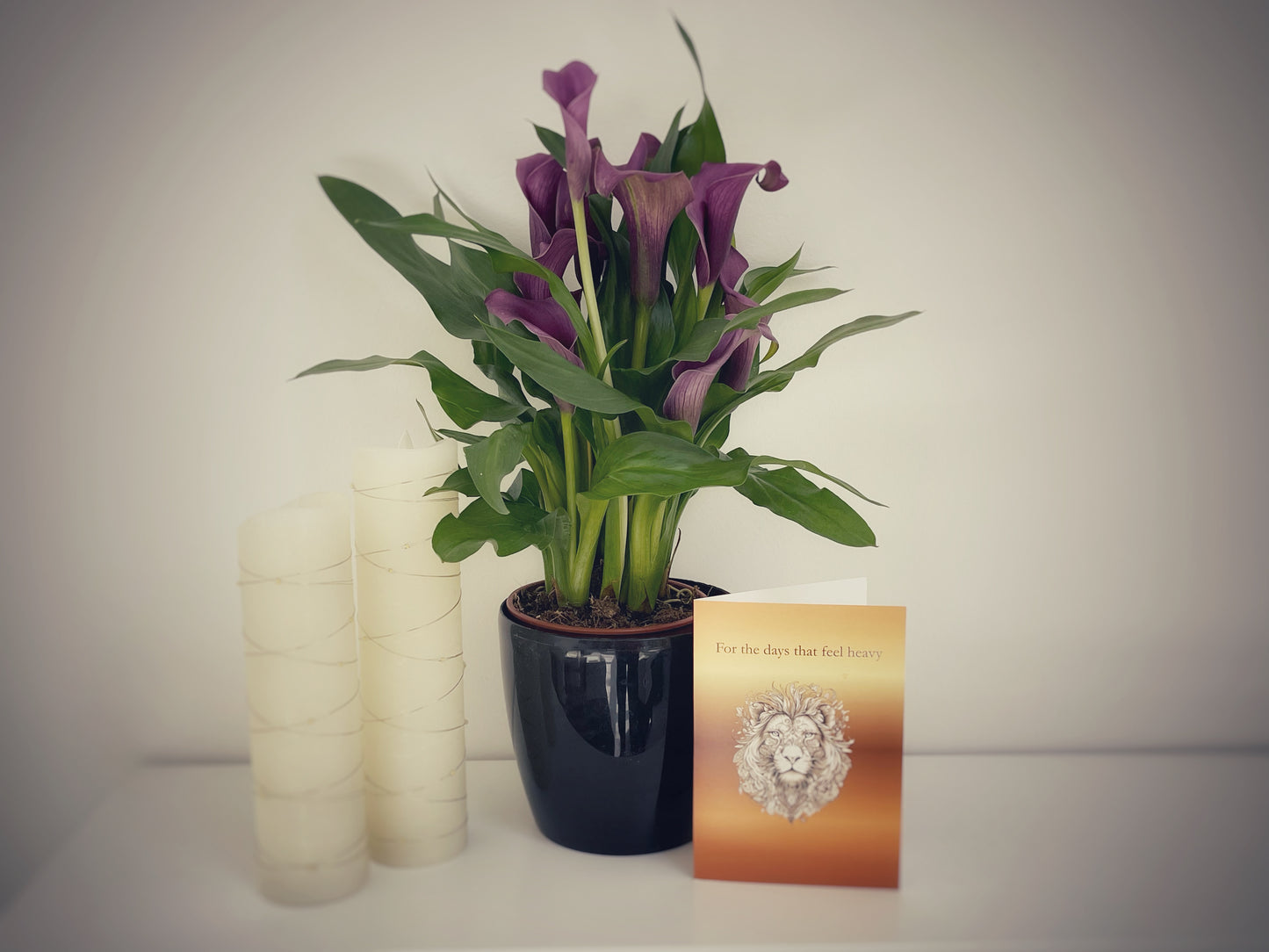 Quiet Cards for Unsteady Times -  Set of Five