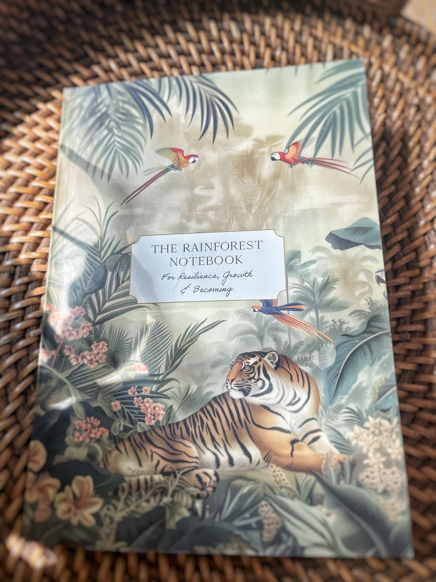 Rainforest Notebook - Nature's Messengers Series