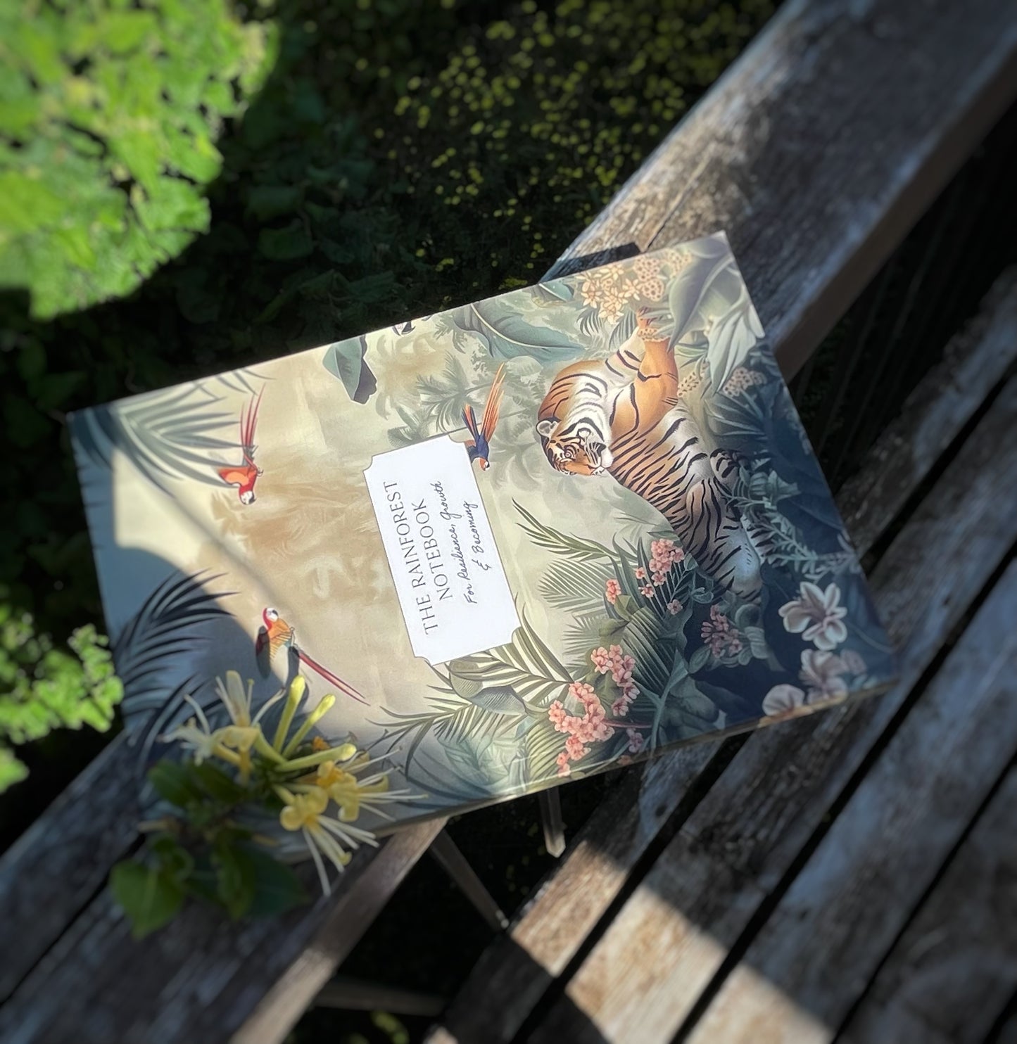 Rainforest Notebook - Nature's Messengers Series