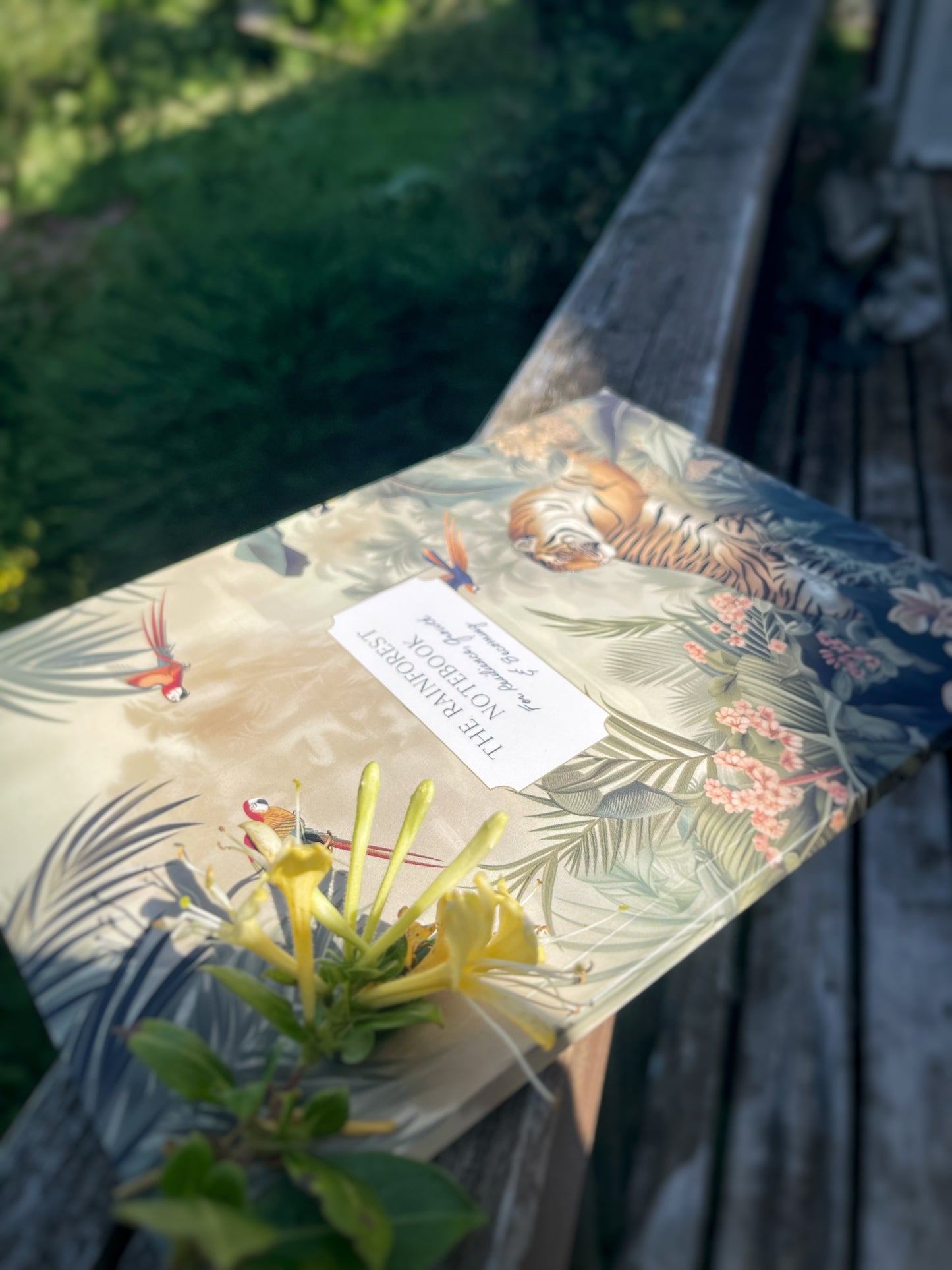 Rainforest Notebook - Nature's Messengers Series
