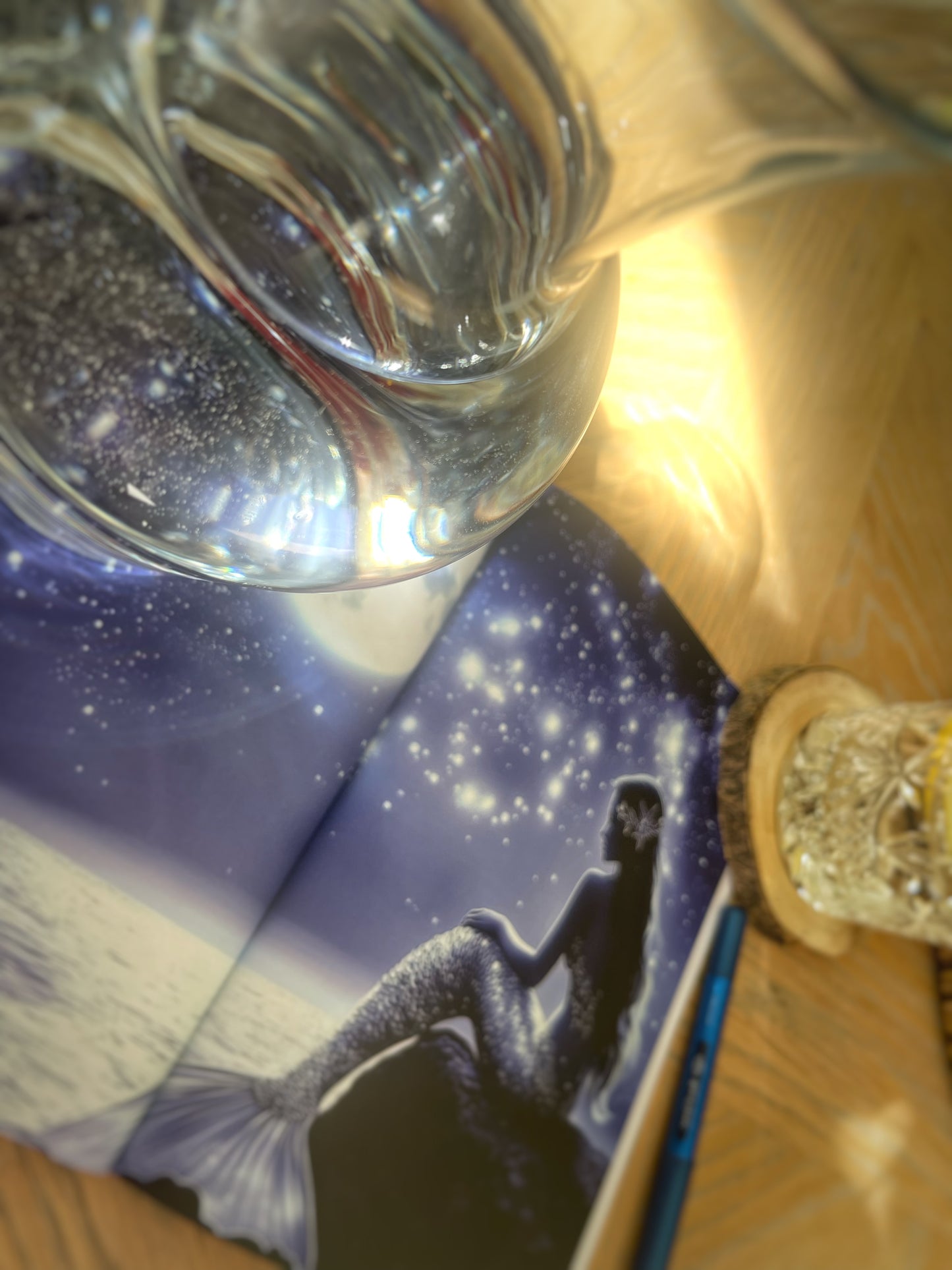 Mermaid Notebook - Nature's Messengers Series