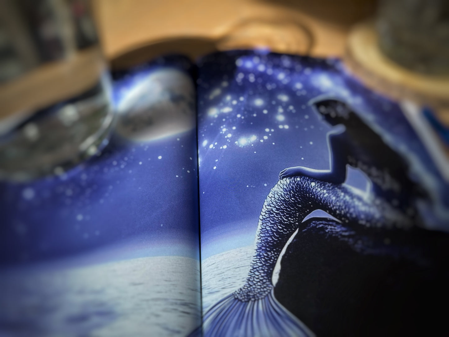 Mermaid Notebook - Nature's Messengers Series