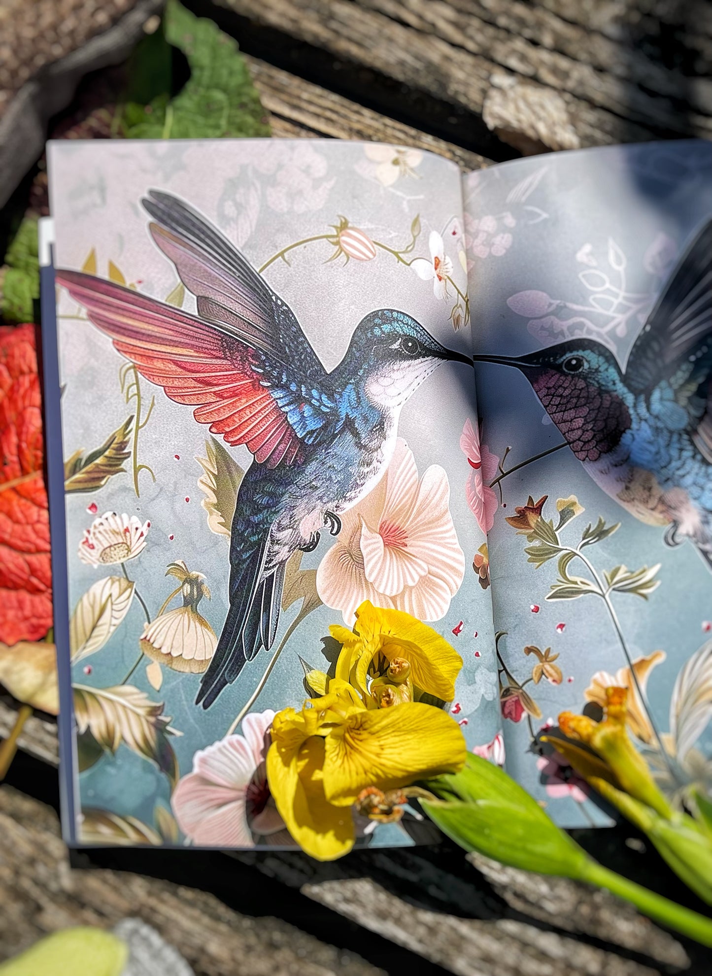 Hummingbird Notebook - Nature's Messengers Series