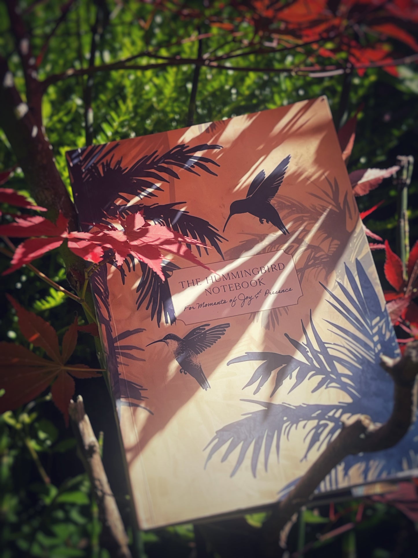 Hummingbird Notebook - Nature's Messengers Series