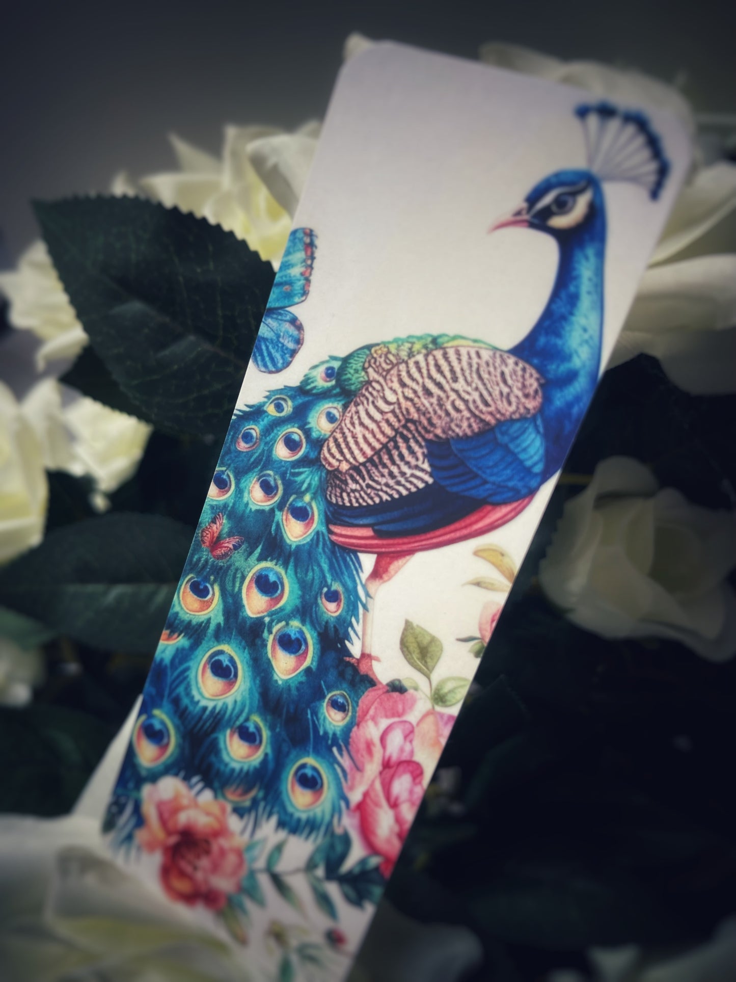 Nature’s Messengers Page Companions Bookmark Set of Four