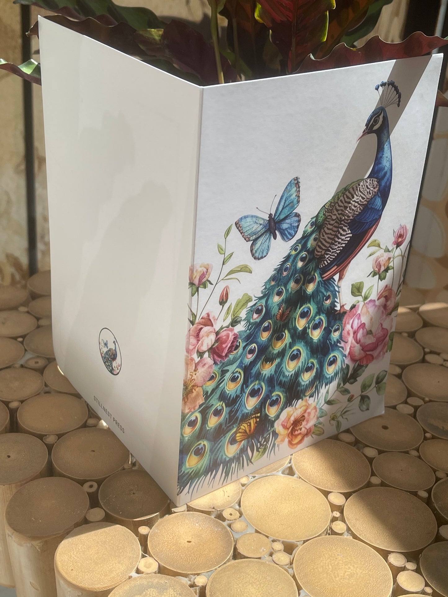 Peacock  Note Cards with Envelopes - set of 5 - A5