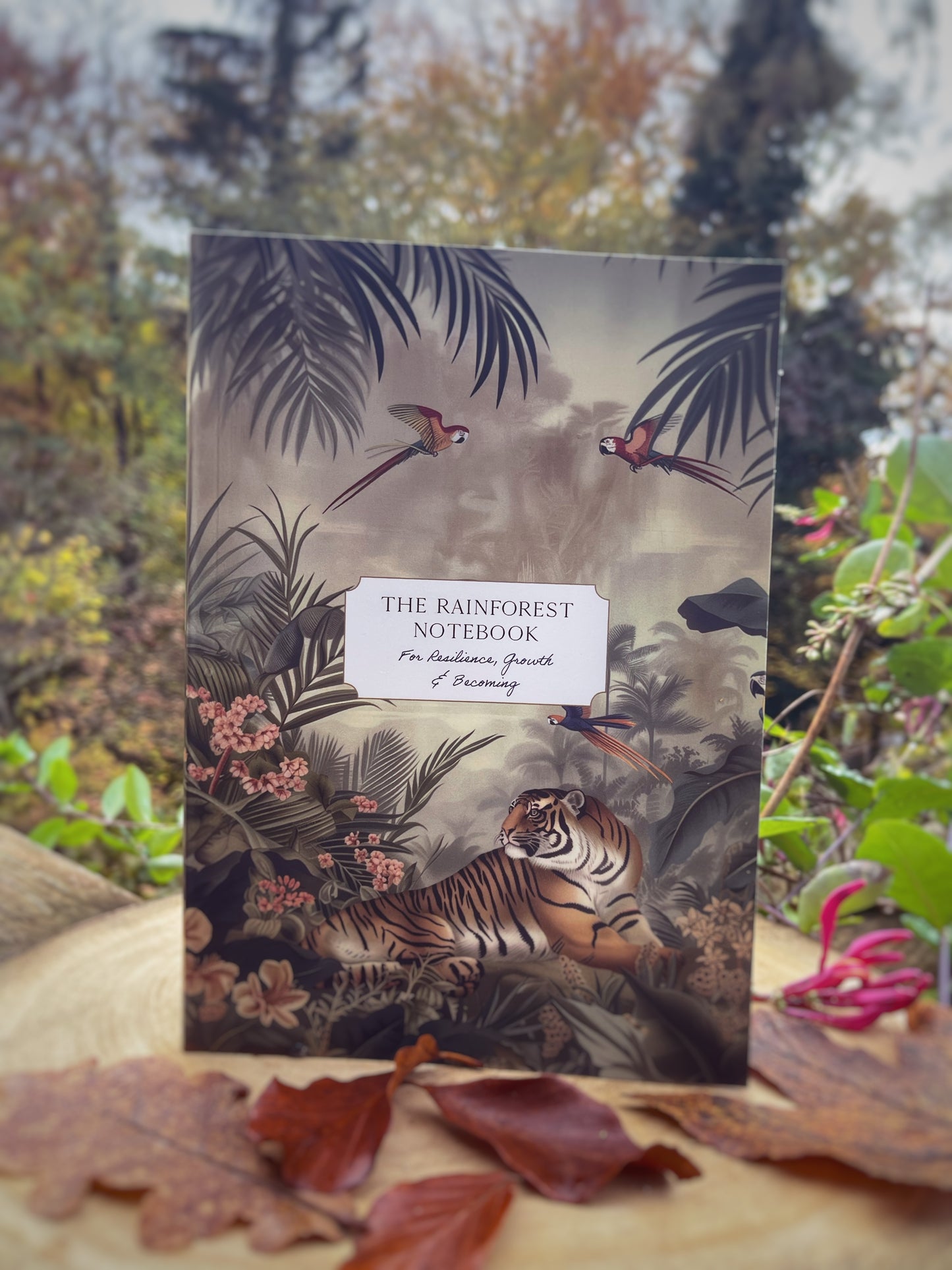 Rainforest Notebook - Natures Messengers Series