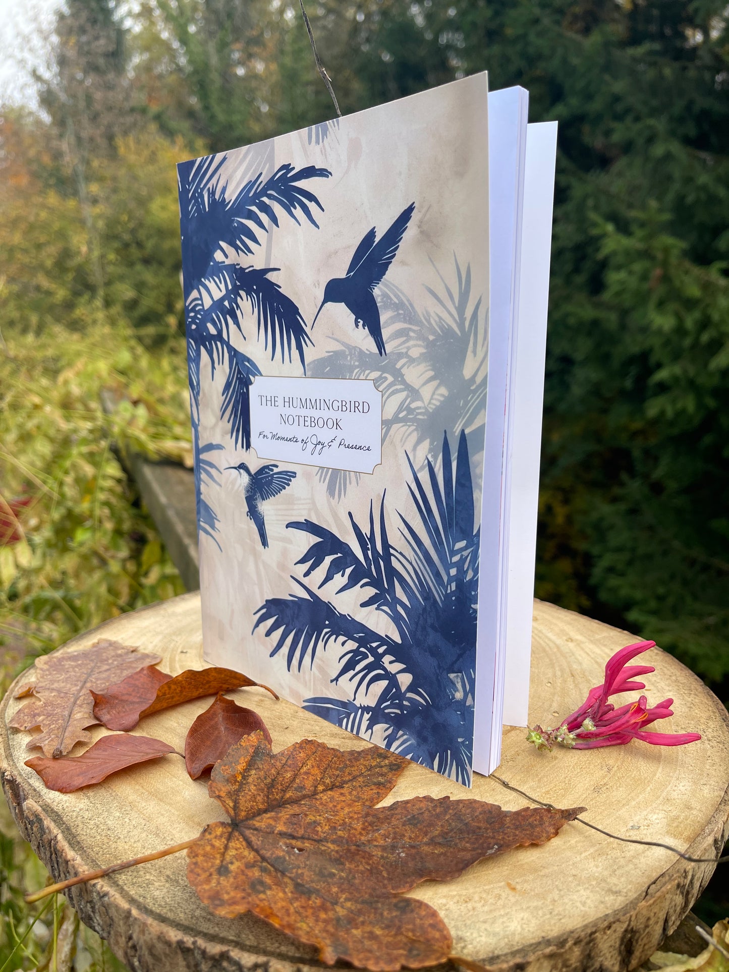 Hummingbird Notebook - natures messengers series