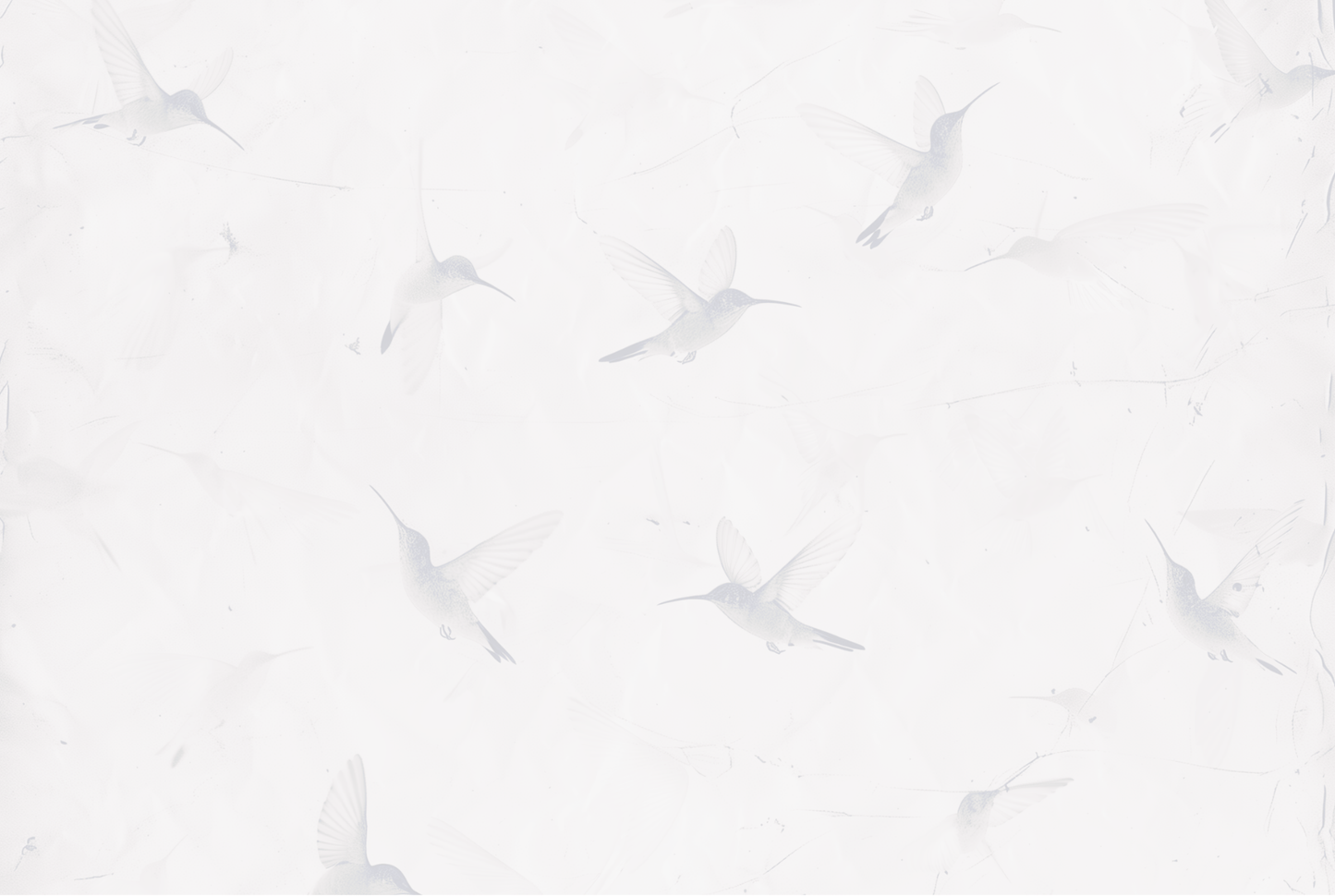 Nature’s Messengers Envelopes Hummingbird Pack of 5