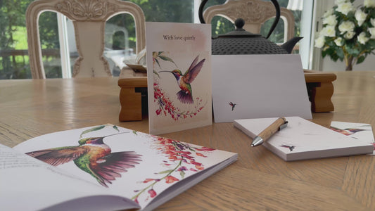 Nature’s Messengers Envelopes Hummingbird Pack of 5